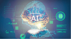 “盲目摄生”痛点