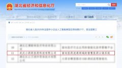 更正在湖创跑通了“先商保后医保(医保个账结合